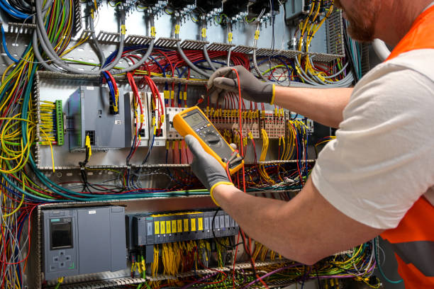 Best Electric Panel Repair  in Alton, IA